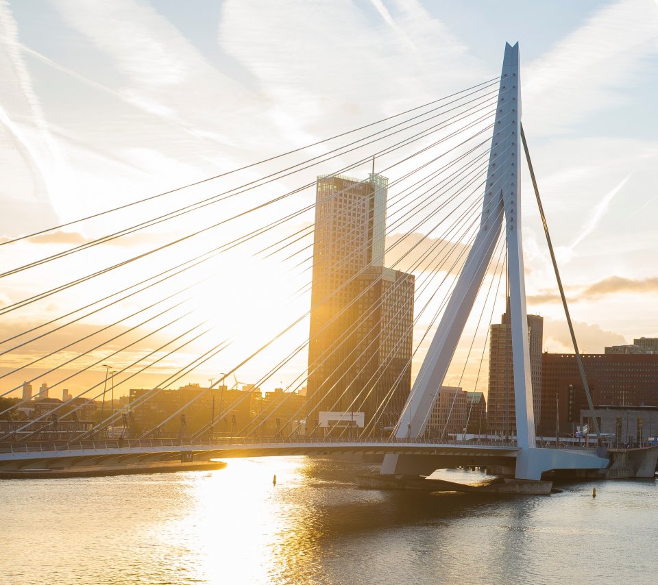 Paysage urbain de Rotterdam